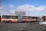 náhled fotky 449318