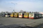 náhled fotky 449347