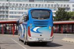 miniatura zdjęcia 449362