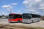 miniatura zdjęcia 449461