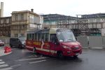 miniatura zdjęcia 449485