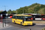 miniatura zdjęcia 450602