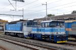 previzualizare fotografie 451485