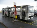 náhled fotky 451709