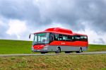 miniatura zdjęcia 451843