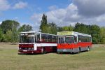 náhled fotky 451850
