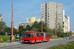 miniatura zdjęcia 451881