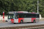 miniatura zdjęcia 452053
