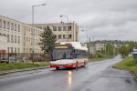 miniatura zdjęcia 452294