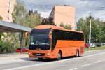 miniatura zdjęcia 452613